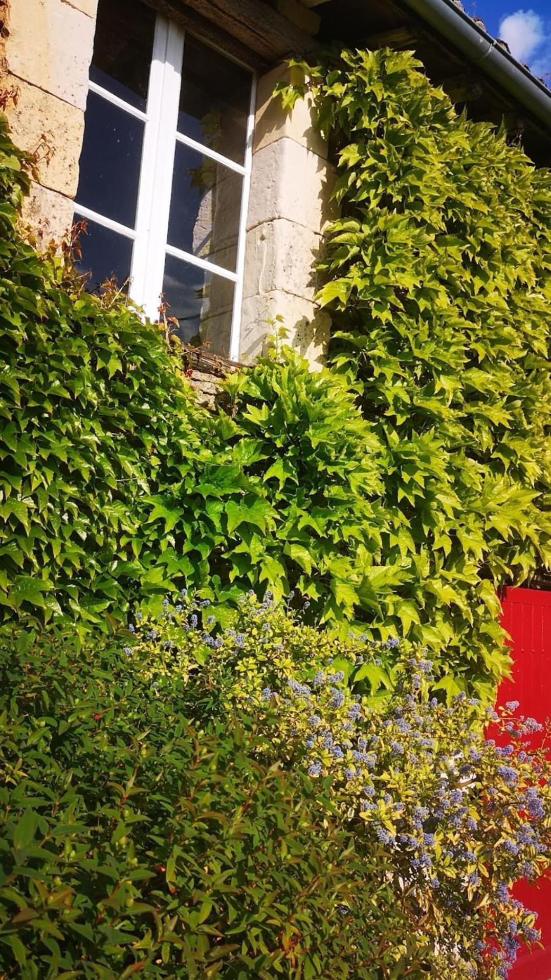 Mouterre-SillyLa Ferme Du Grand Bois公寓 外观 照片